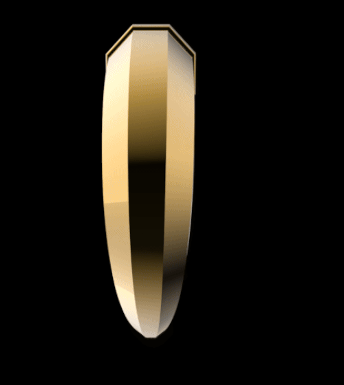 Horn Earring M
