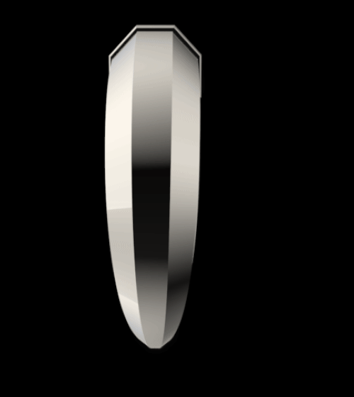Horn Earring M