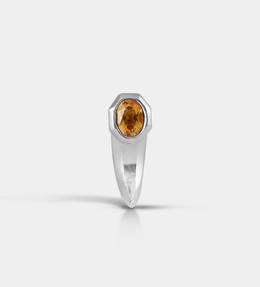 Horn Earring S