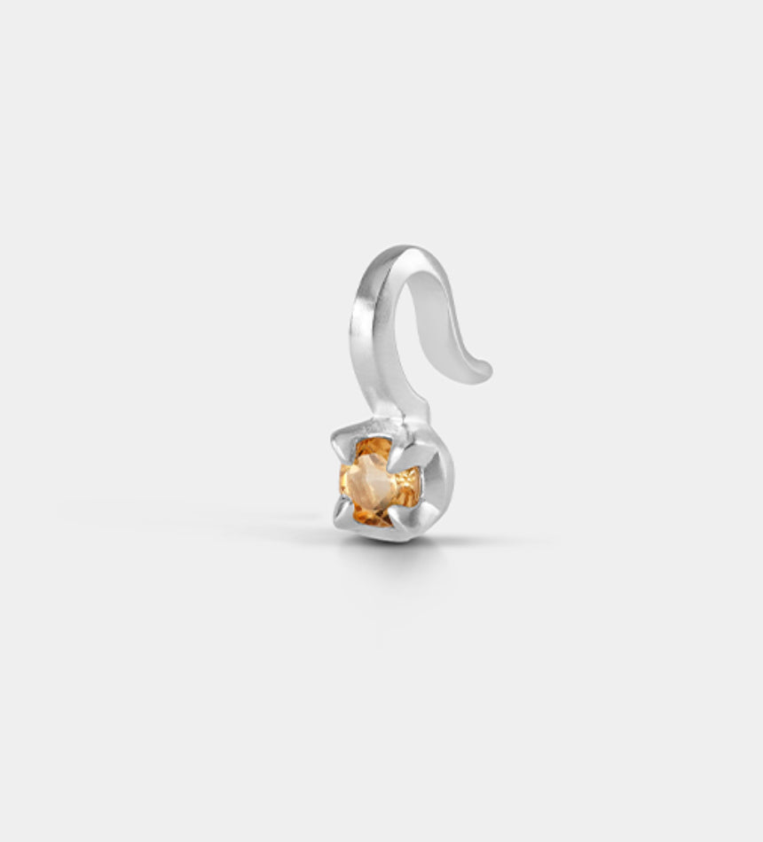 Pollux Ear Conch