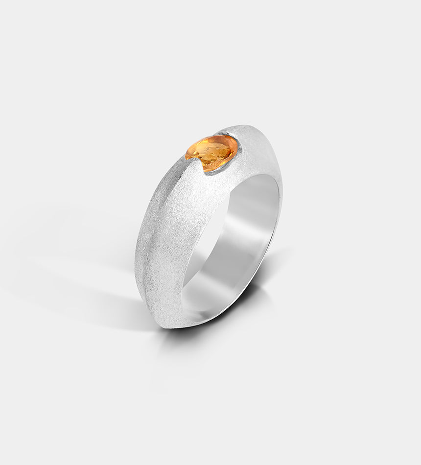 Suspension Signet