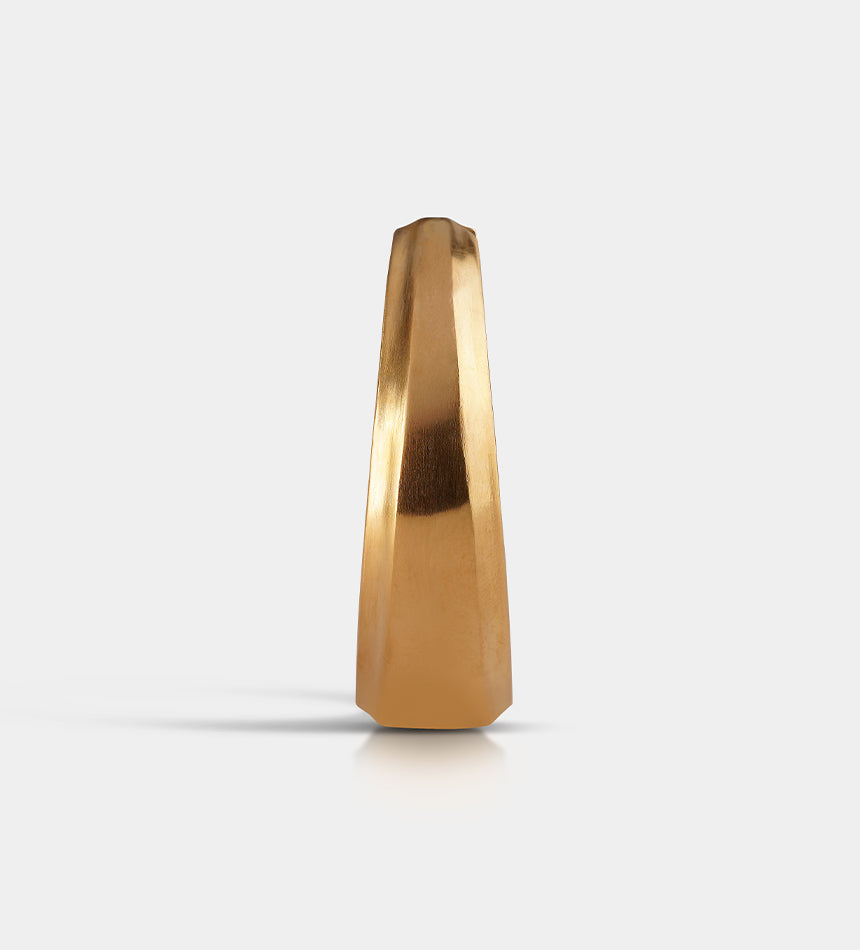 Schield Earring