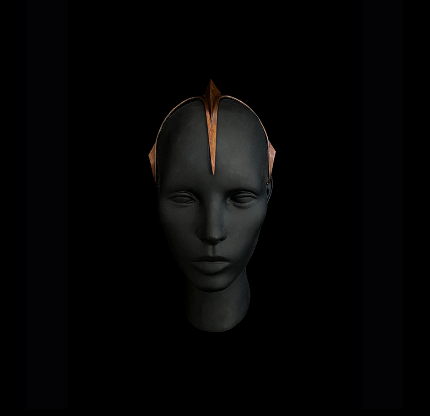 Fin Crown cover image